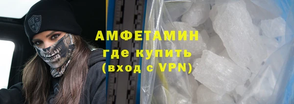 сатива Бородино