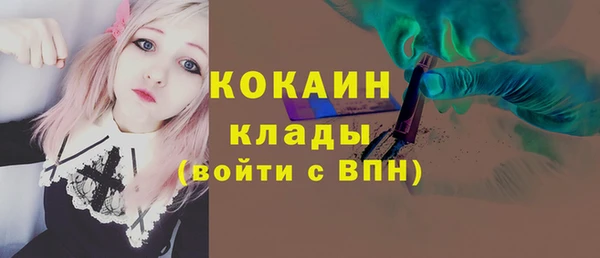 сатива Бородино