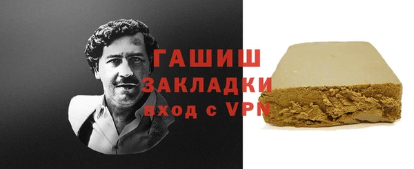 сатива Бородино