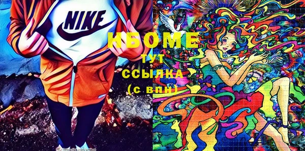 сатива Бородино