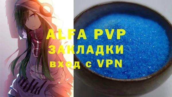 сатива Бородино