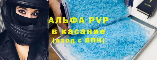 сатива Бородино