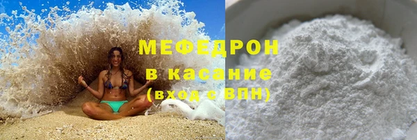 сатива Бородино