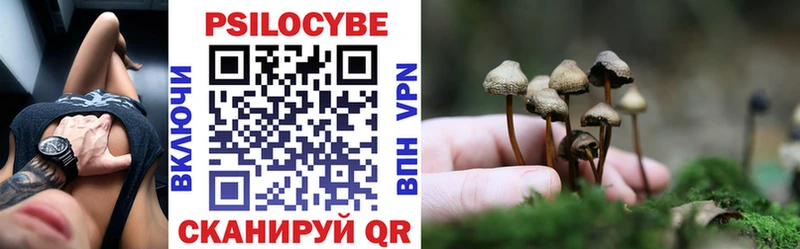 MEGA ссылка  дарк нет состав  Псилоцибиновые грибы GOLDEN TEACHER  Волосово 